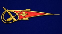 Околыш на берет ВДВ с автоматом 59459 - фото 20465