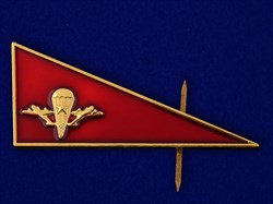 Уголок на берет ВДВ 59461 - фото 20475